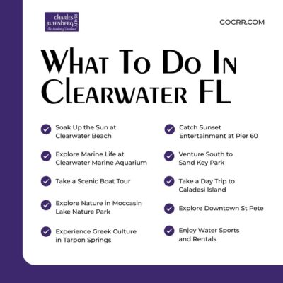 what to do in clearwater fl