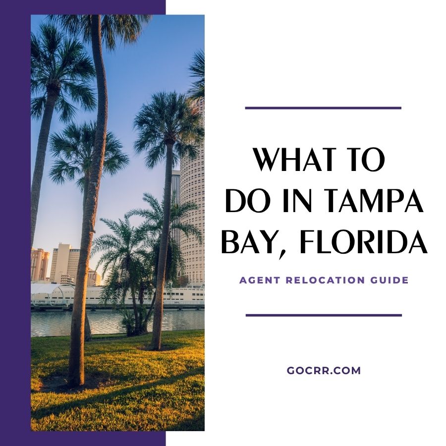 What to Do in Tampa Bay Florida What to Do in Tampa Bay, Florida: Agent Relocation Guide