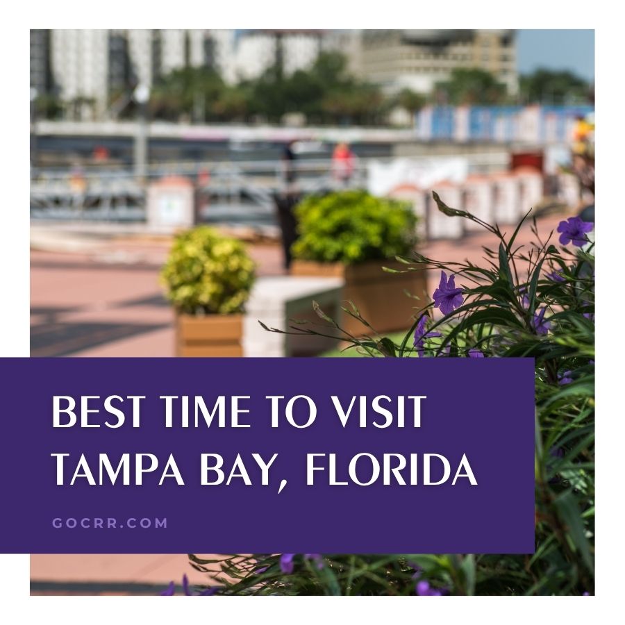 Best Time to Visit Tampa Bay Best Time to Visit Tampa Bay, Florida